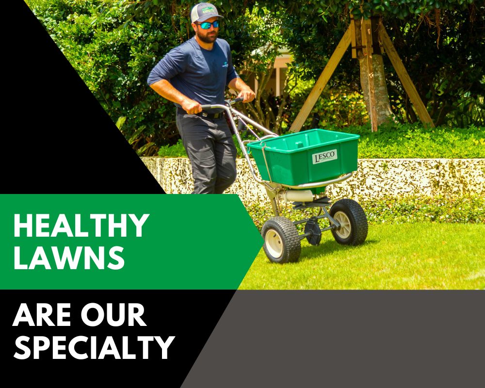 MaxPest-website-lawns-section-spreading-fertilizer