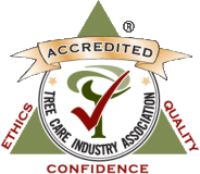 TCIA-Accrediation-logo-transparent