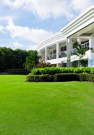 MaxPest-website-homepage-section-lawn