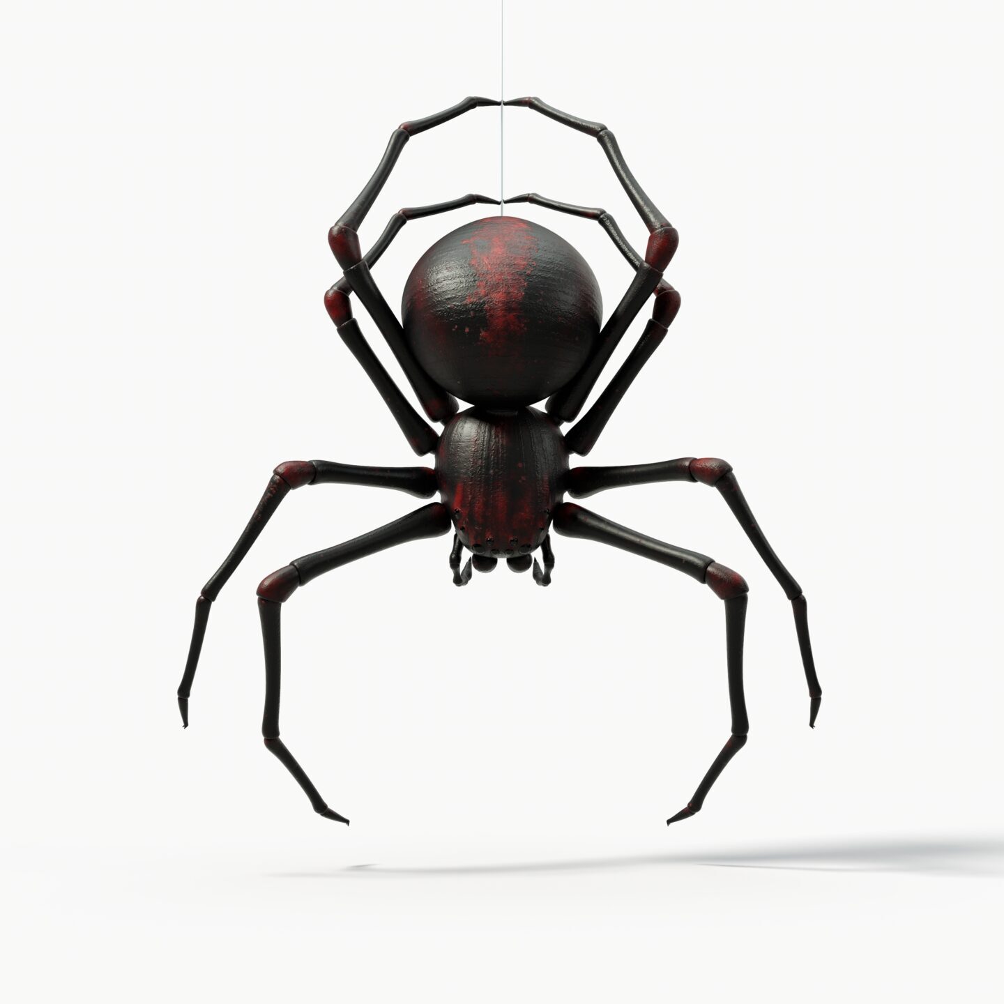 hanging black spider. with red skin details. suitable for horror, halloween, arachnid and insect themes. 3d illustration, front view